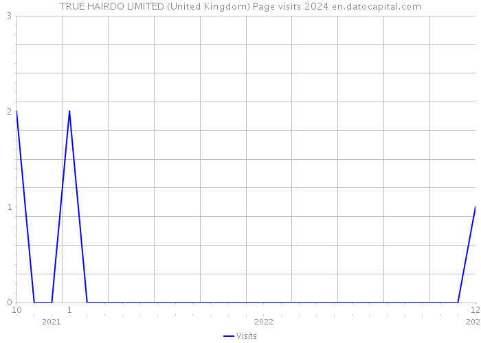 TRUE HAIRDO LIMITED (United Kingdom) Page visits 2024 