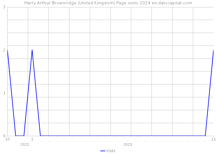 Harry Arthur Brownridge (United Kingdom) Page visits 2024 