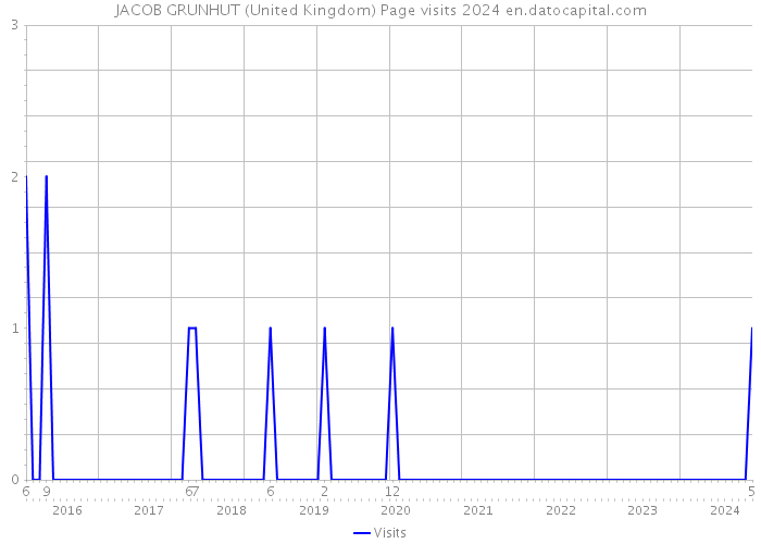 JACOB GRUNHUT (United Kingdom) Page visits 2024 
