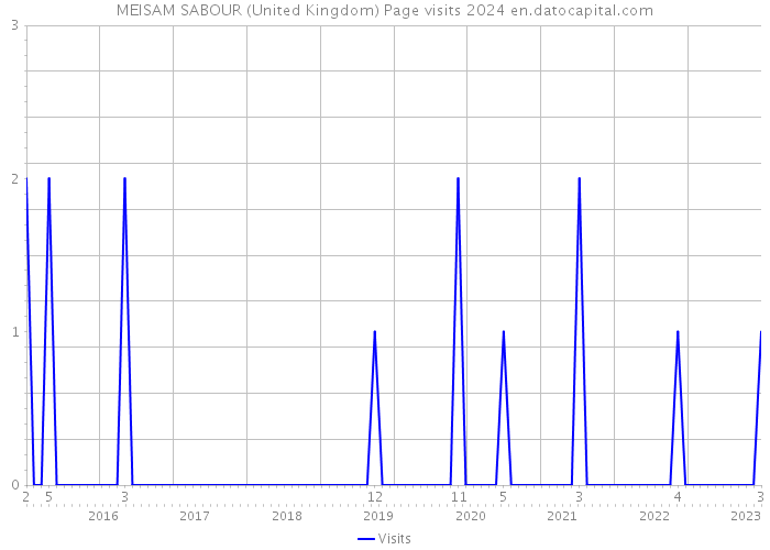MEISAM SABOUR (United Kingdom) Page visits 2024 