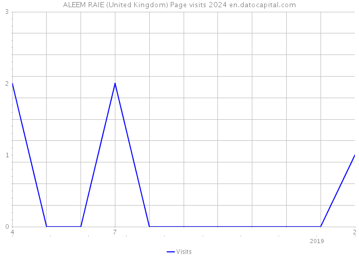 ALEEM RAIE (United Kingdom) Page visits 2024 