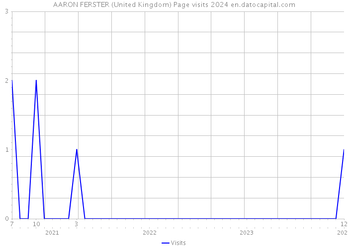AARON FERSTER (United Kingdom) Page visits 2024 