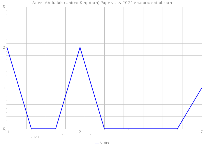 Adeel Abdullah (United Kingdom) Page visits 2024 