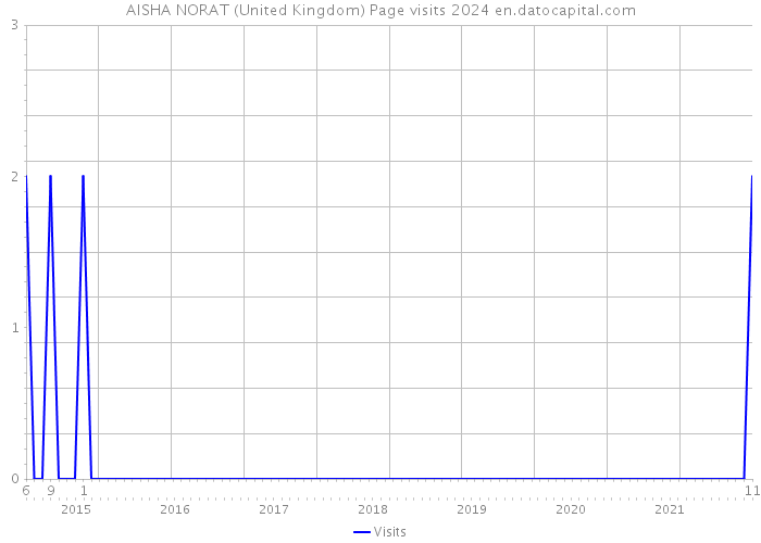 AISHA NORAT (United Kingdom) Page visits 2024 