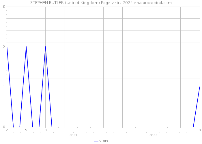 STEPHEN BUTLER (United Kingdom) Page visits 2024 