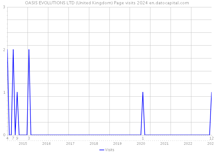 OASIS EVOLUTIONS LTD (United Kingdom) Page visits 2024 