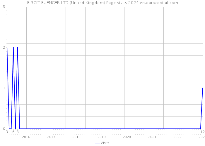 BIRGIT BUENGER LTD (United Kingdom) Page visits 2024 