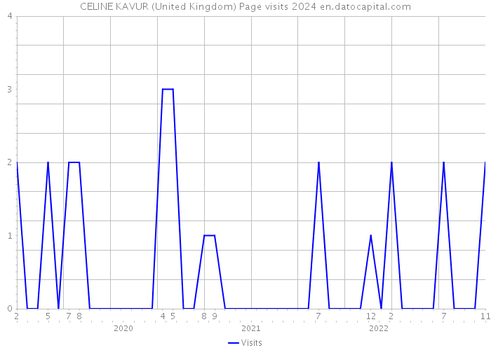 CELINE KAVUR (United Kingdom) Page visits 2024 