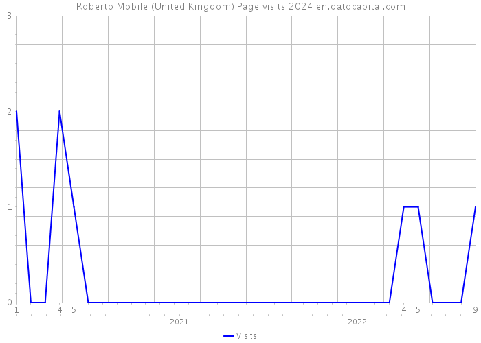 Roberto Mobile (United Kingdom) Page visits 2024 