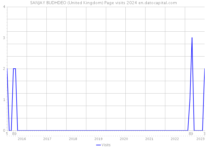 SANJAY BUDHDEO (United Kingdom) Page visits 2024 