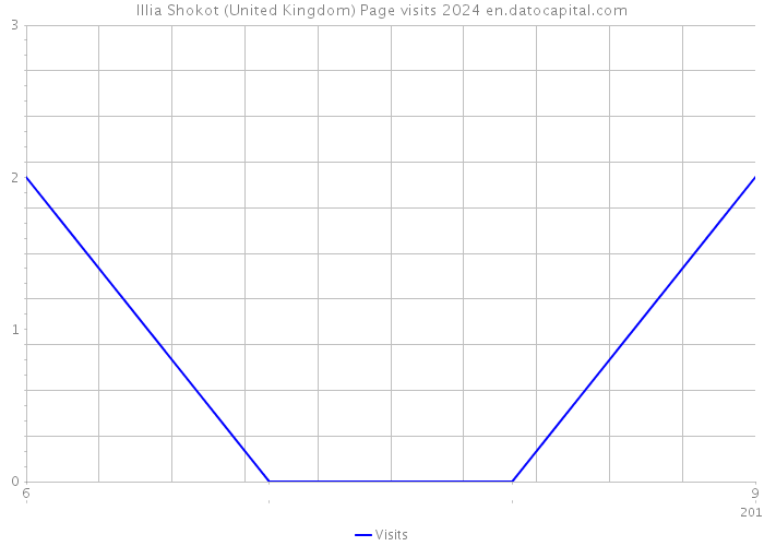 Illia Shokot (United Kingdom) Page visits 2024 