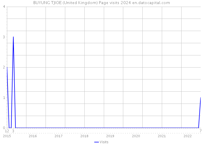 BUYUNG TJIOE (United Kingdom) Page visits 2024 