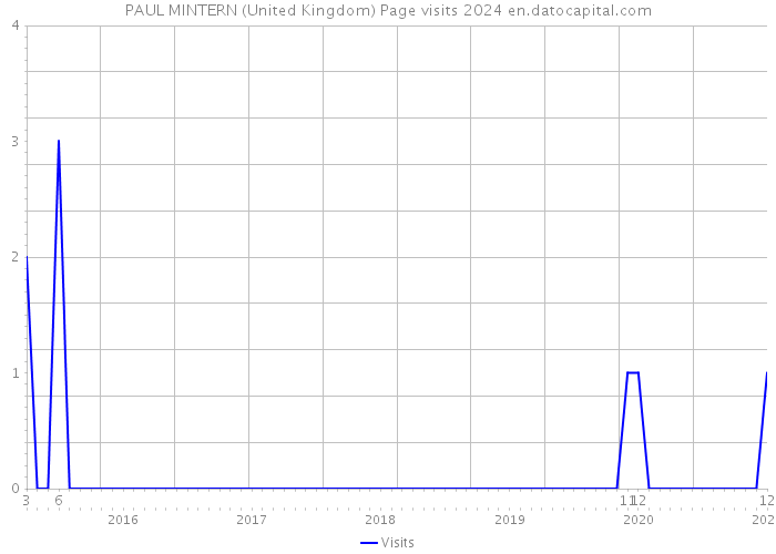 PAUL MINTERN (United Kingdom) Page visits 2024 