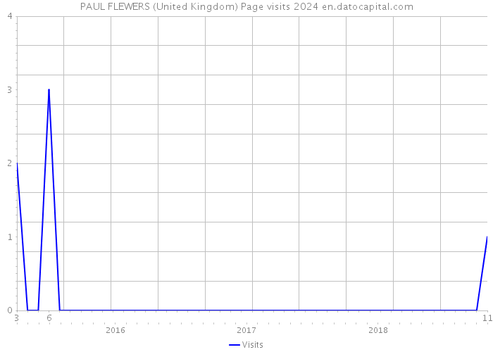 PAUL FLEWERS (United Kingdom) Page visits 2024 