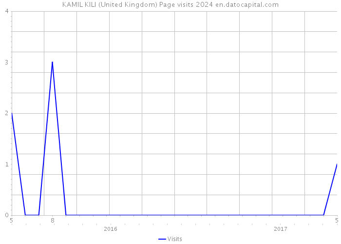 KAMIL KILI (United Kingdom) Page visits 2024 
