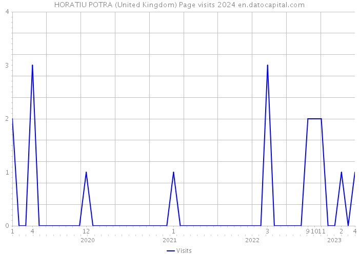 HORATIU POTRA (United Kingdom) Page visits 2024 