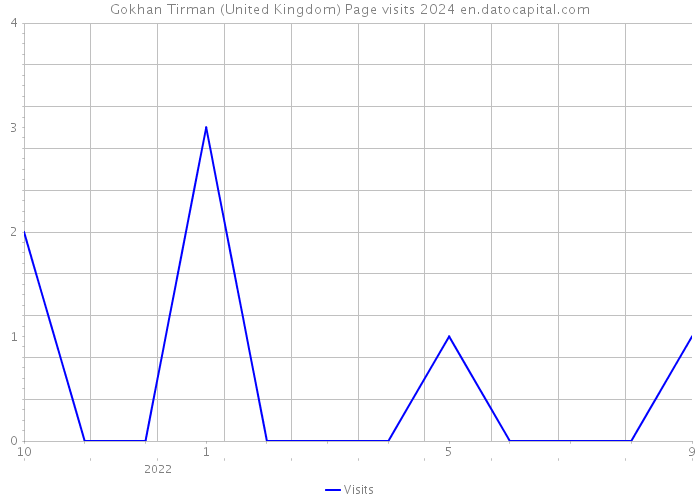 Gokhan Tirman (United Kingdom) Page visits 2024 