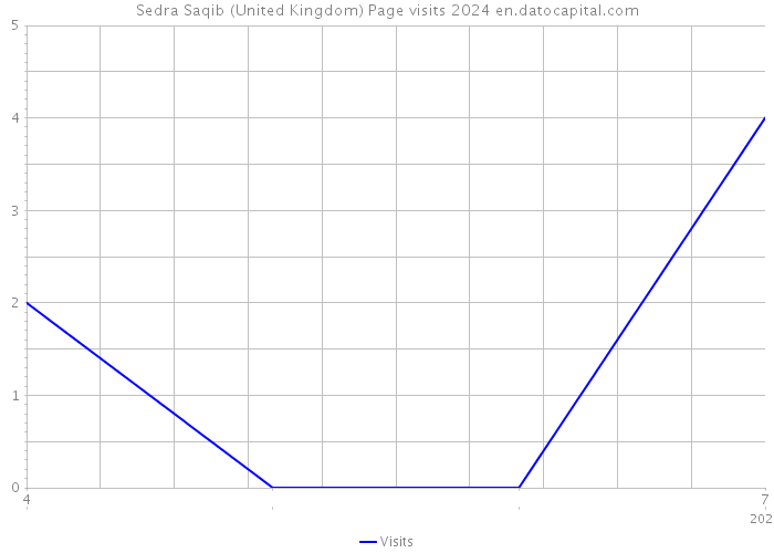 Sedra Saqib (United Kingdom) Page visits 2024 