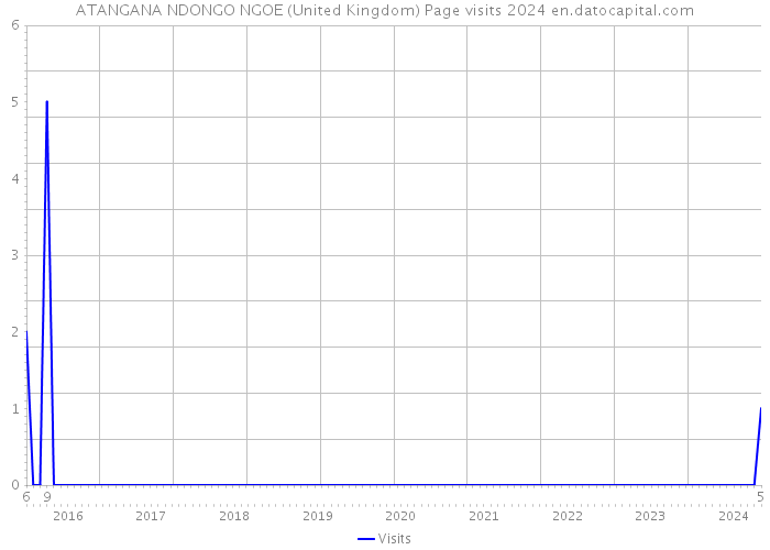 ATANGANA NDONGO NGOE (United Kingdom) Page visits 2024 