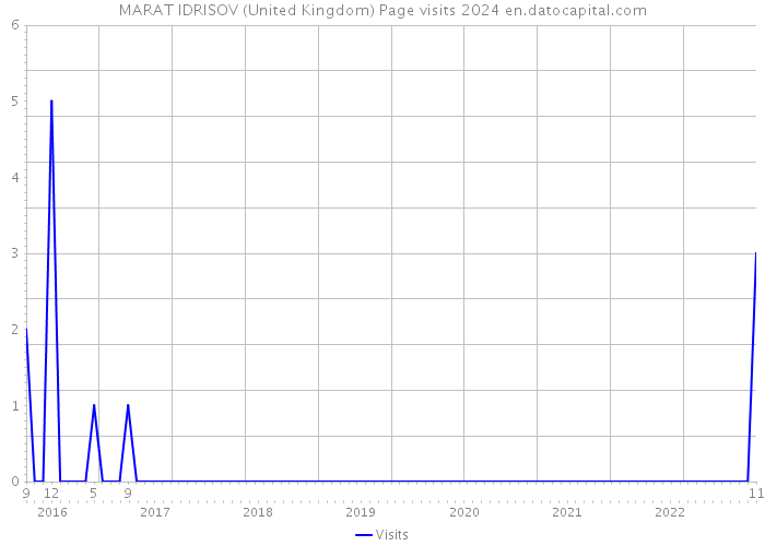 MARAT IDRISOV (United Kingdom) Page visits 2024 