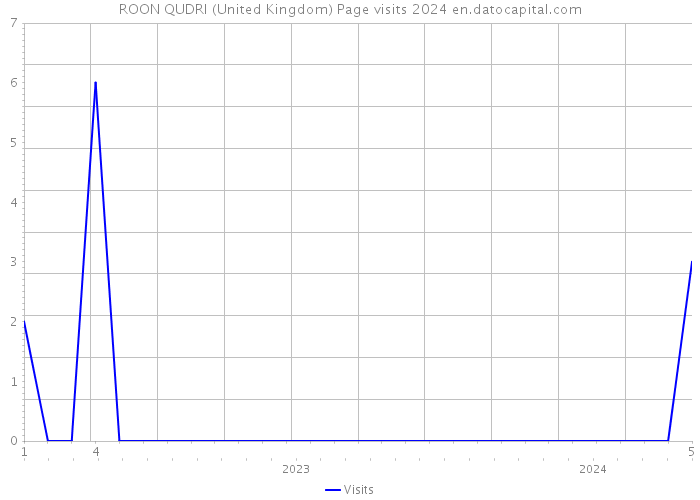 ROON QUDRI (United Kingdom) Page visits 2024 