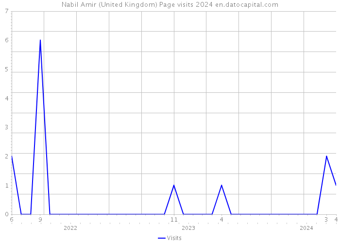Nabil Amir (United Kingdom) Page visits 2024 