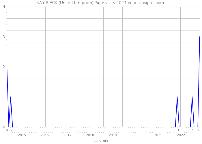 KAY RIECK (United Kingdom) Page visits 2024 