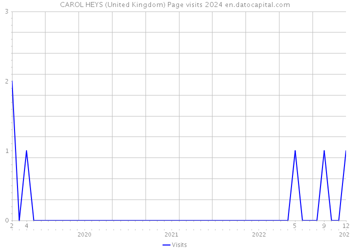 CAROL HEYS (United Kingdom) Page visits 2024 