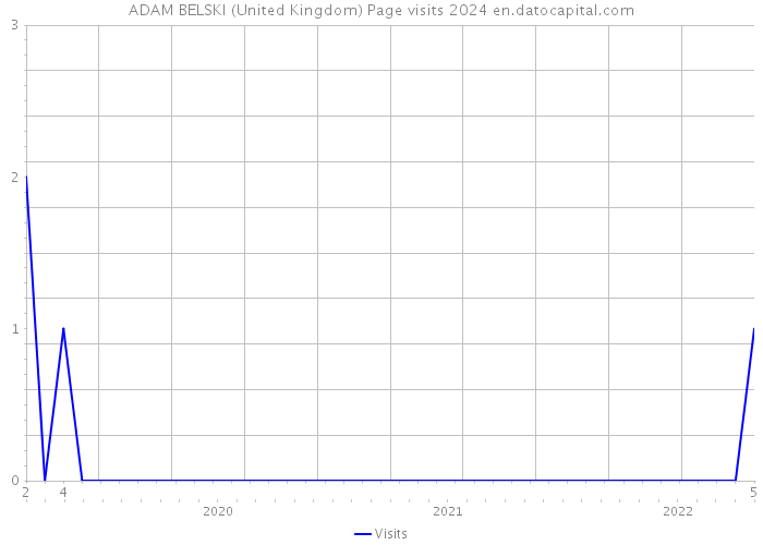 ADAM BELSKI (United Kingdom) Page visits 2024 