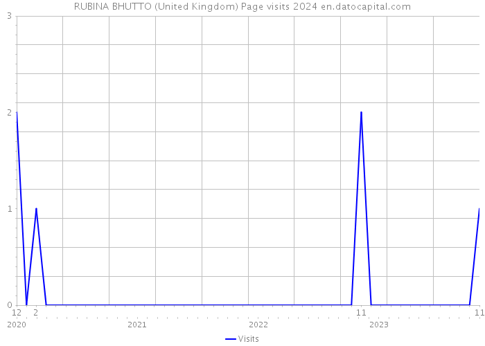RUBINA BHUTTO (United Kingdom) Page visits 2024 