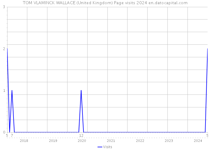 TOM VLAMINCK WALLACE (United Kingdom) Page visits 2024 