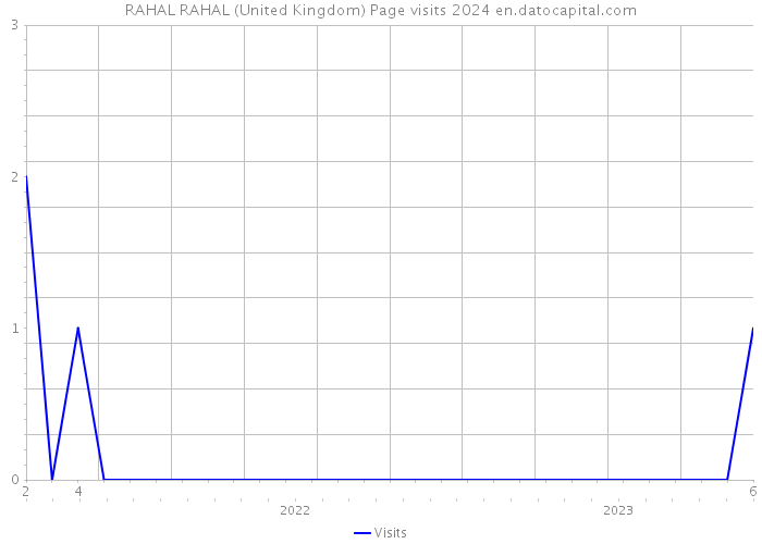 RAHAL RAHAL (United Kingdom) Page visits 2024 