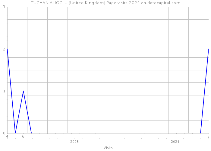 TUGHAN ALIOGLU (United Kingdom) Page visits 2024 