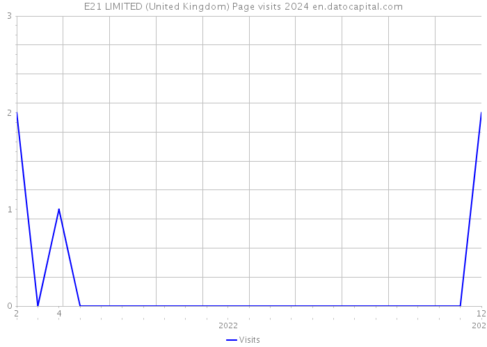 E21 LIMITED (United Kingdom) Page visits 2024 