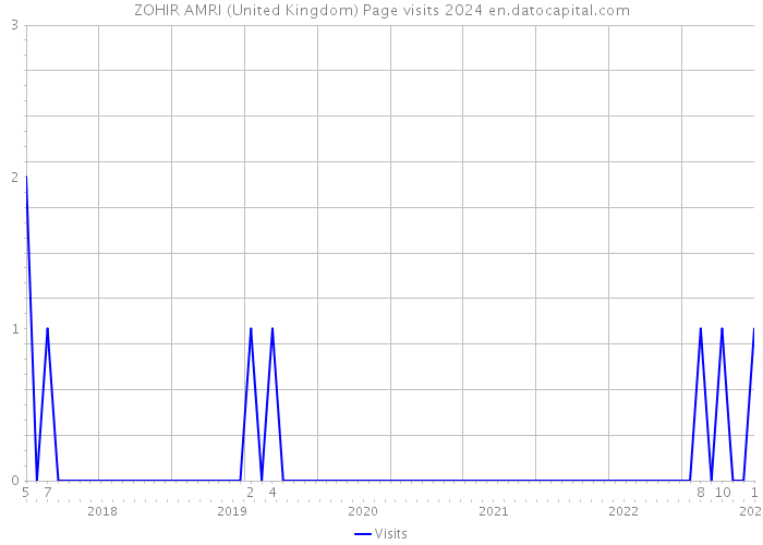 ZOHIR AMRI (United Kingdom) Page visits 2024 