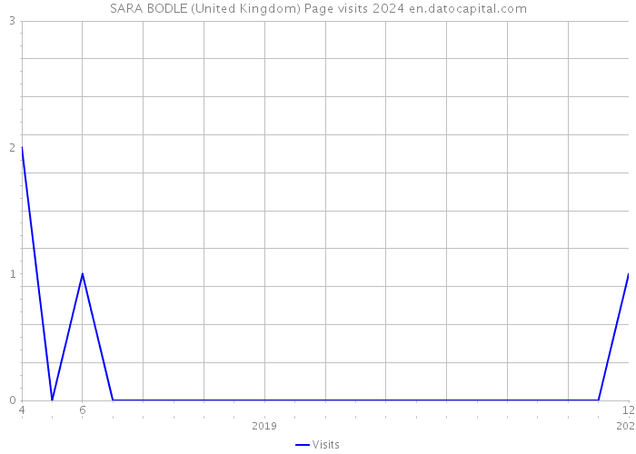 SARA BODLE (United Kingdom) Page visits 2024 