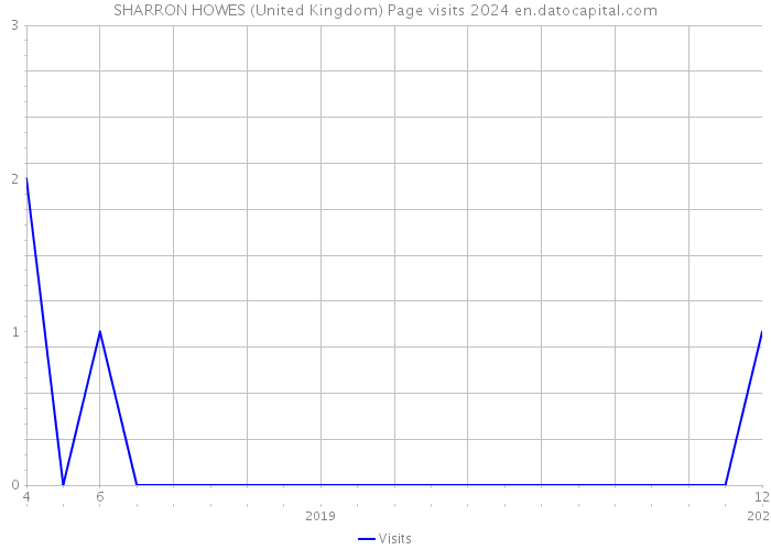 SHARRON HOWES (United Kingdom) Page visits 2024 