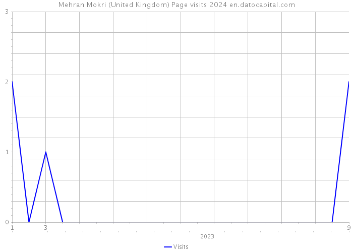 Mehran Mokri (United Kingdom) Page visits 2024 