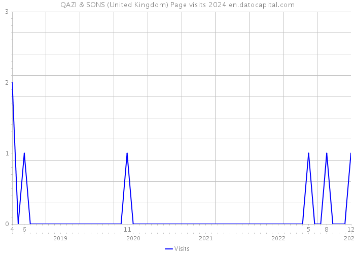 QAZI & SONS (United Kingdom) Page visits 2024 