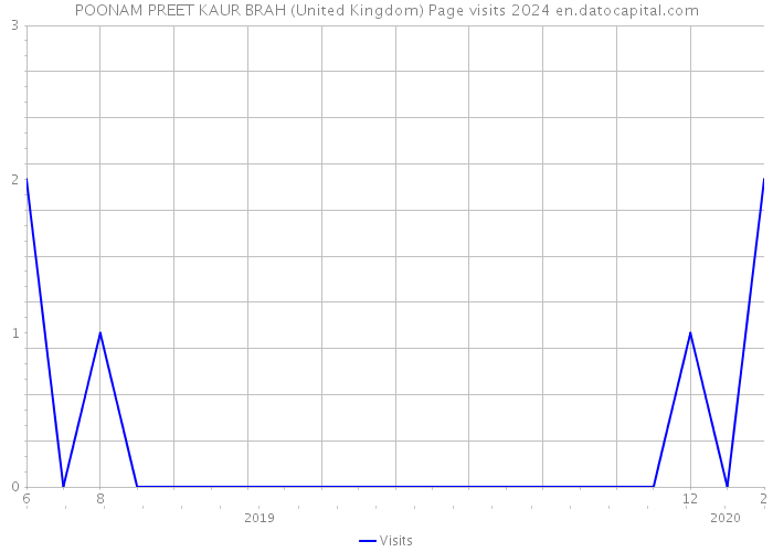 POONAM PREET KAUR BRAH (United Kingdom) Page visits 2024 
