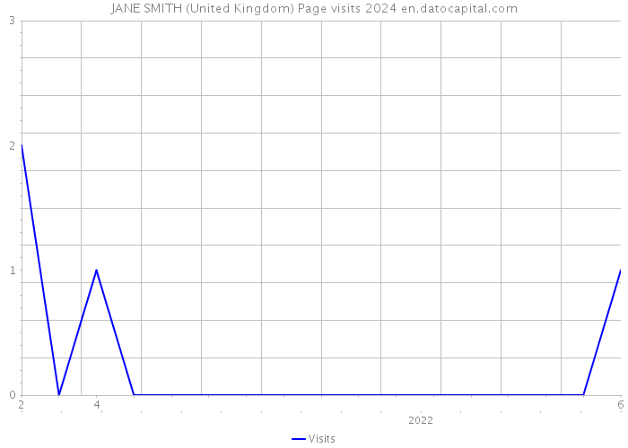 JANE SMITH (United Kingdom) Page visits 2024 