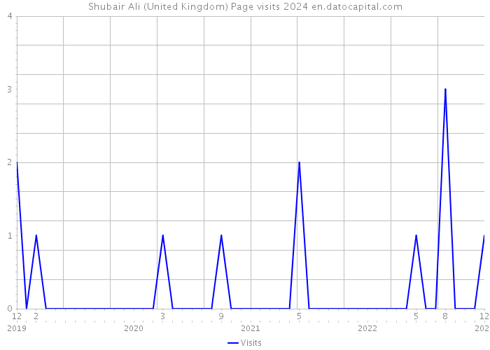 Shubair Ali (United Kingdom) Page visits 2024 