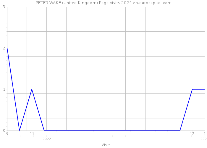 PETER WAKE (United Kingdom) Page visits 2024 