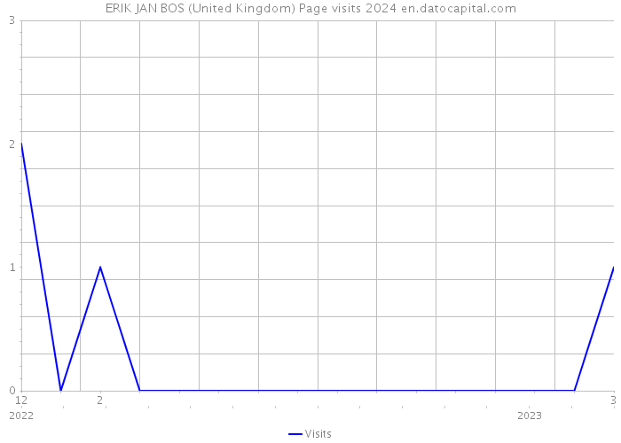 ERIK JAN BOS (United Kingdom) Page visits 2024 