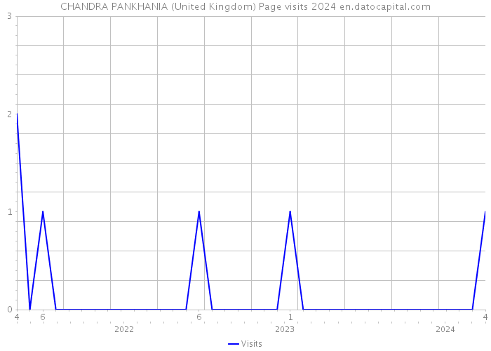 CHANDRA PANKHANIA (United Kingdom) Page visits 2024 