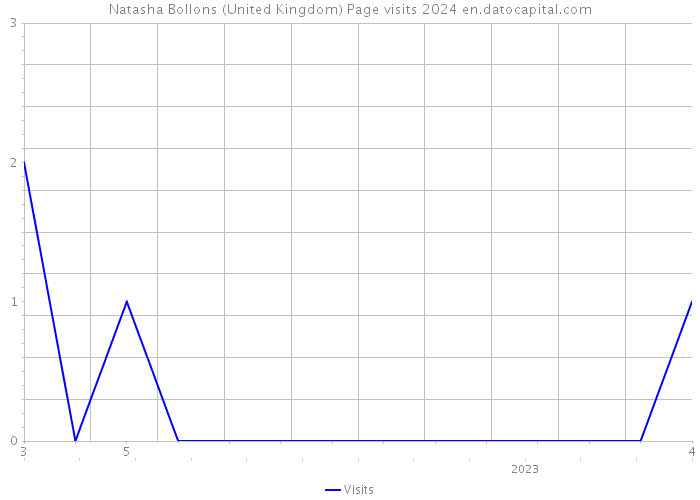 Natasha Bollons (United Kingdom) Page visits 2024 