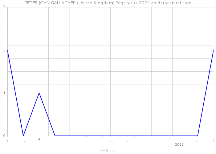 PETER JOHN GALLAGHER (United Kingdom) Page visits 2024 