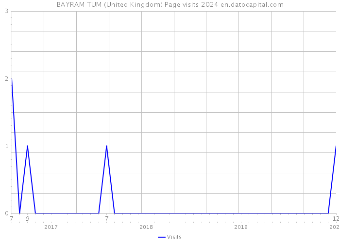 BAYRAM TUM (United Kingdom) Page visits 2024 
