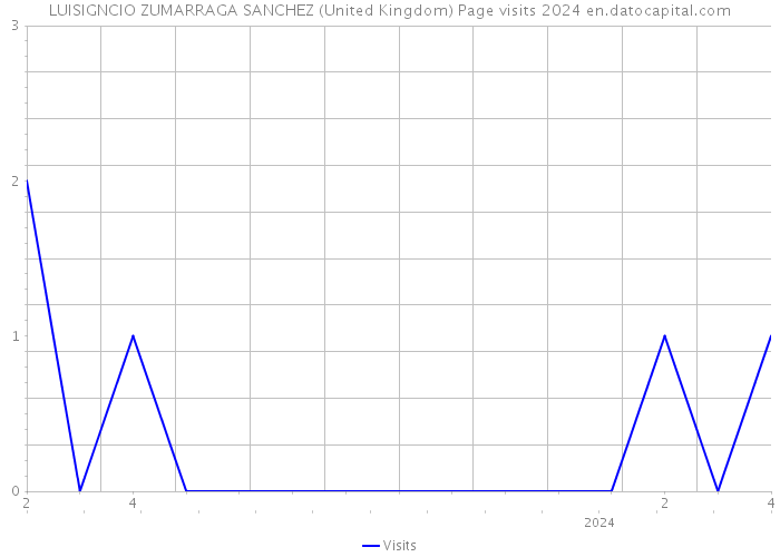 LUISIGNCIO ZUMARRAGA SANCHEZ (United Kingdom) Page visits 2024 