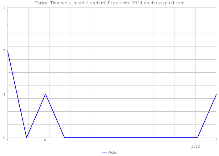 Tarirai Tinarwo (United Kingdom) Page visits 2024 